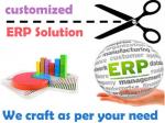 Customized ERP Solutions On Oracle Platform